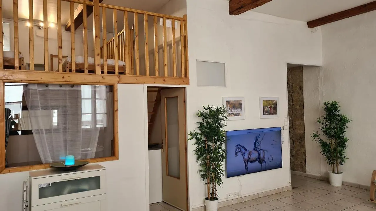 Bed and breakfast La Loge Du Vieux Lyon France
