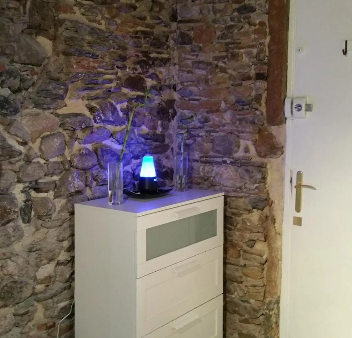 Bed and Breakfast La Loge Du Vieux Lyon Bed & Breakfast