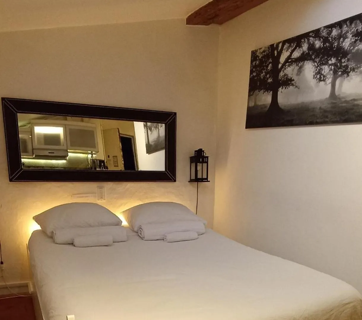 Bed and breakfast La Loge Du Vieux Lyon 2*,