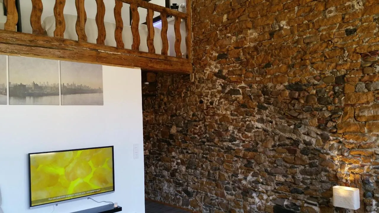 Bed & Breakfast La Loge Du Vieux Lyon Bed and Breakfast