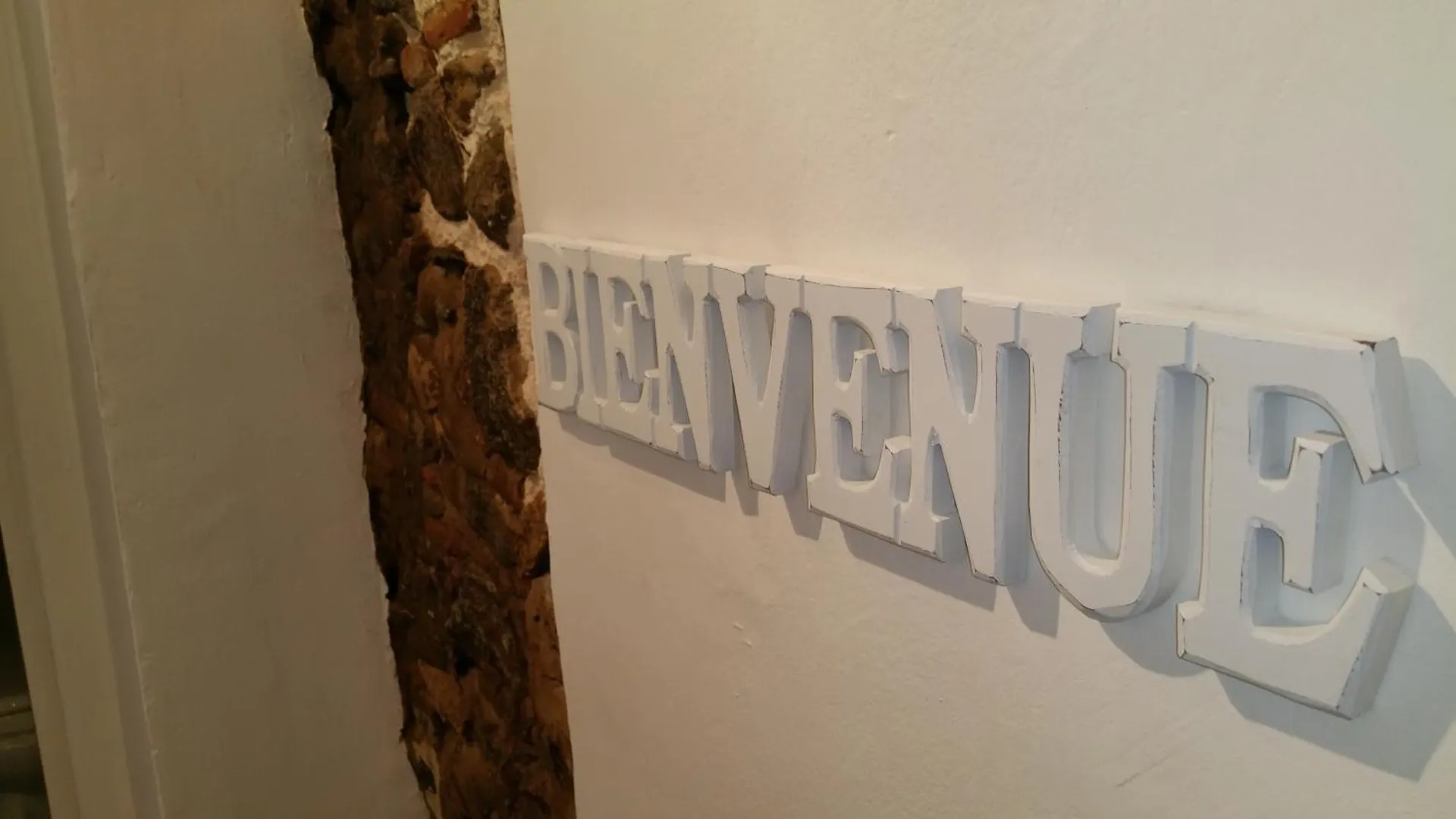 Bed and Breakfast La Loge Du Vieux Lyon
