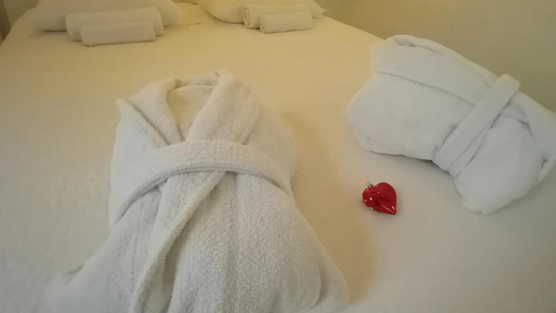 Bed and Breakfast La Loge Du Vieux Lyon Francia